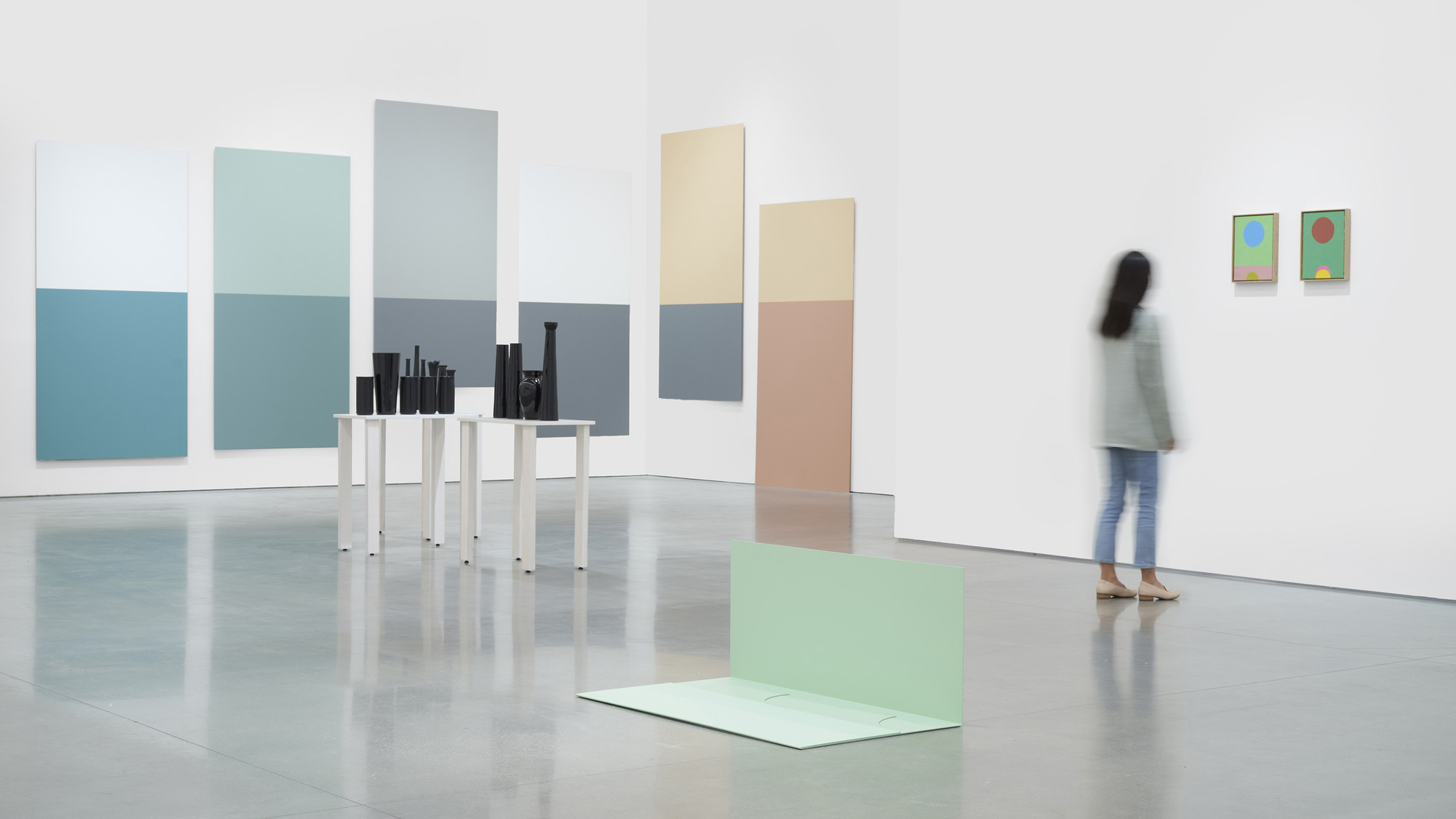 HIPS_INST_FL1_v11_Scale-2-High Resolution ? 300 dpi .jpg