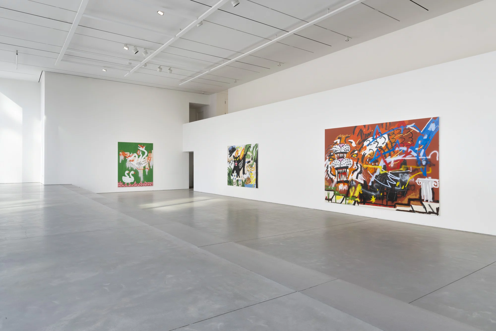 Installation view of After Hours by Robert Nava