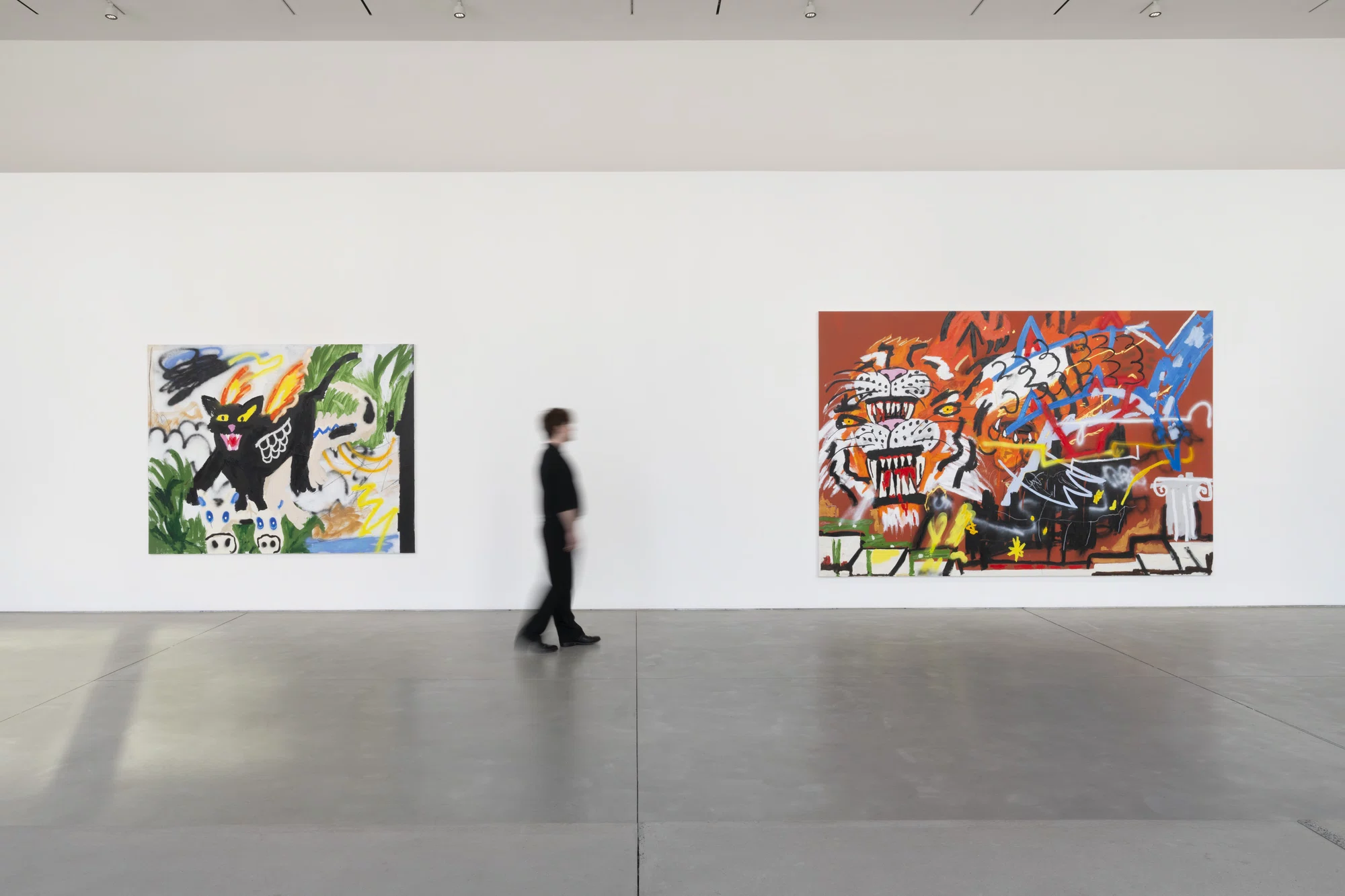 Installation view of After Hours by Robert Nava