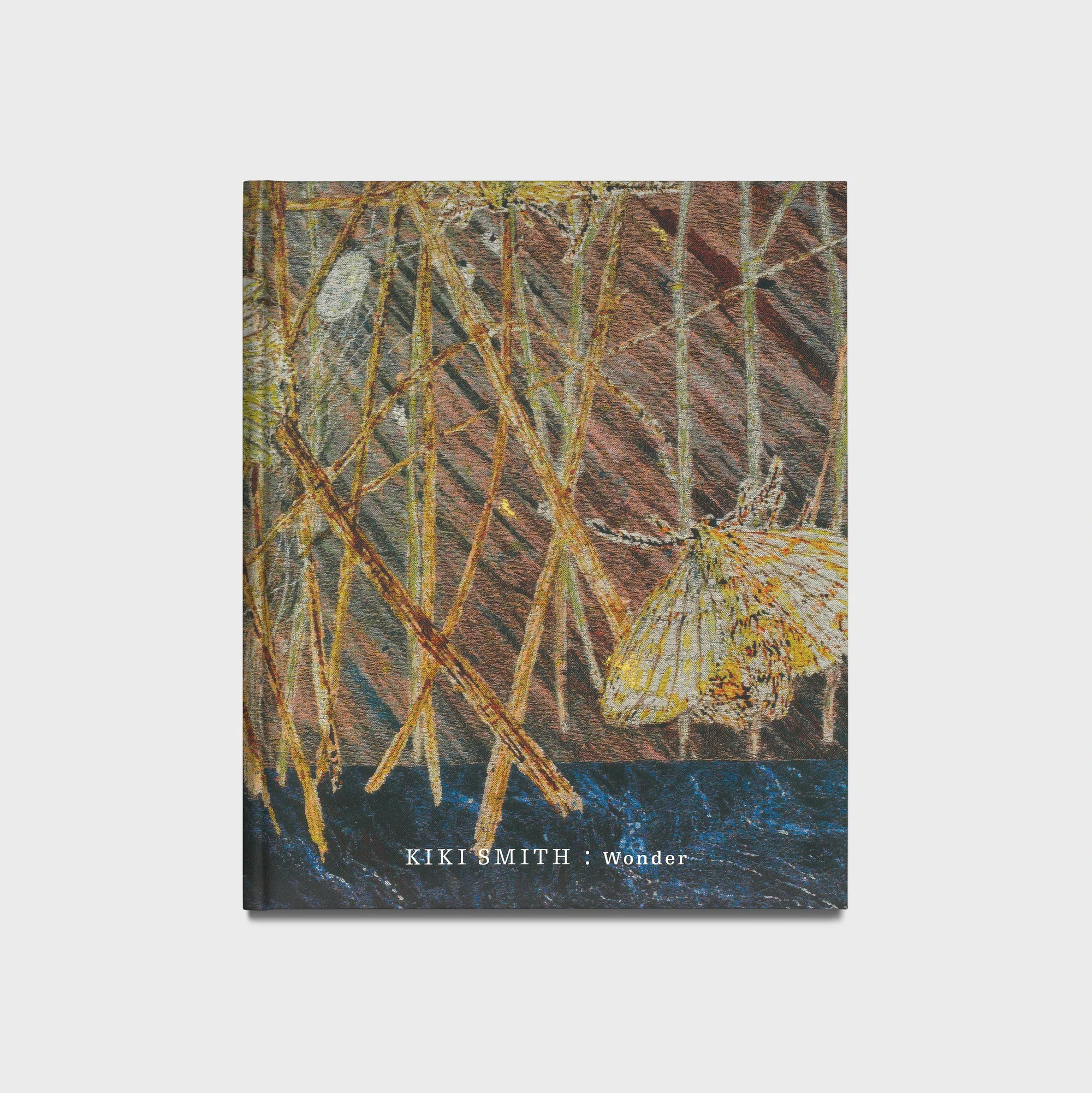 Cover of Wonder by Kiki Smith