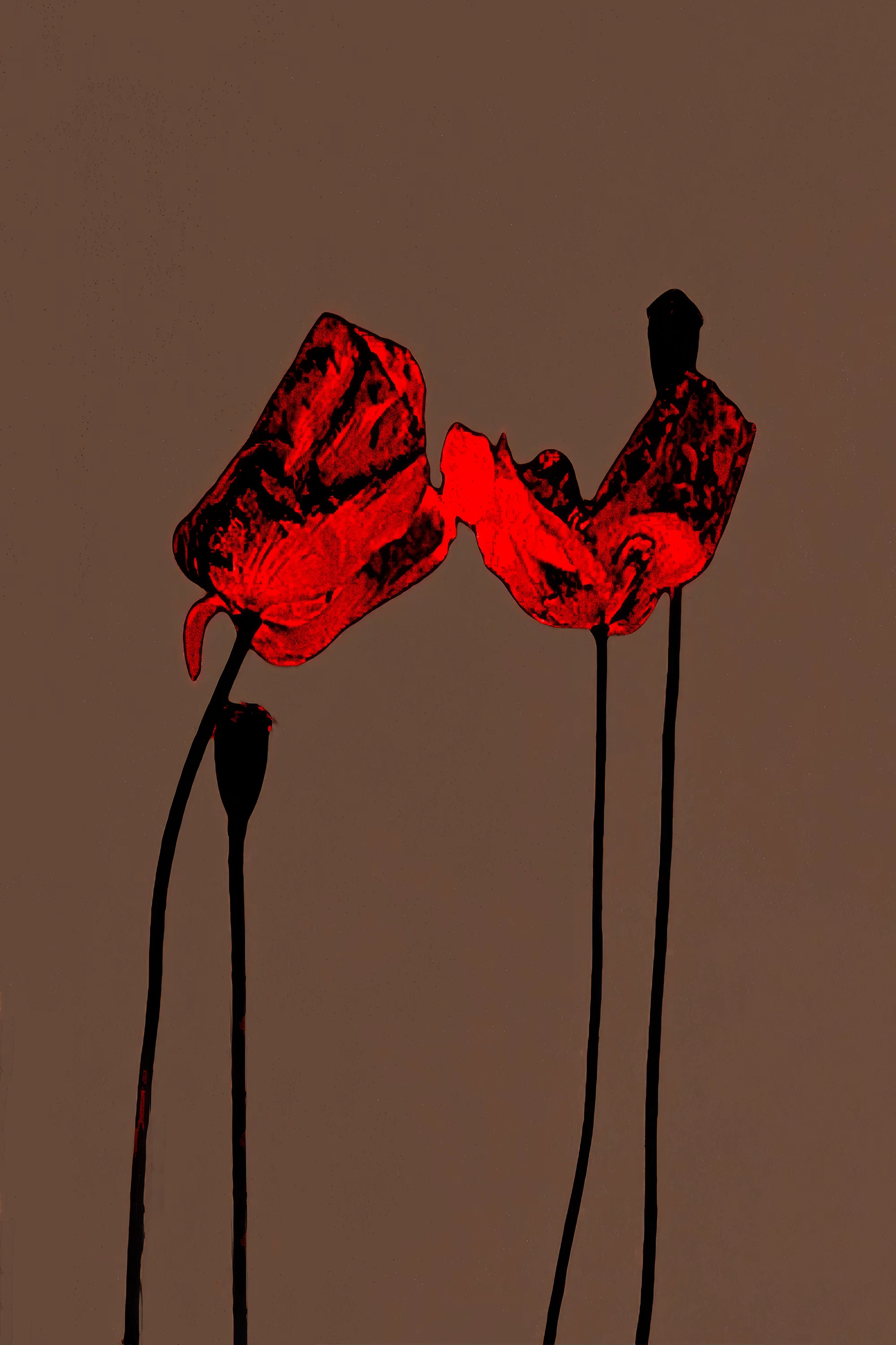 Crimson by Michal Rovner