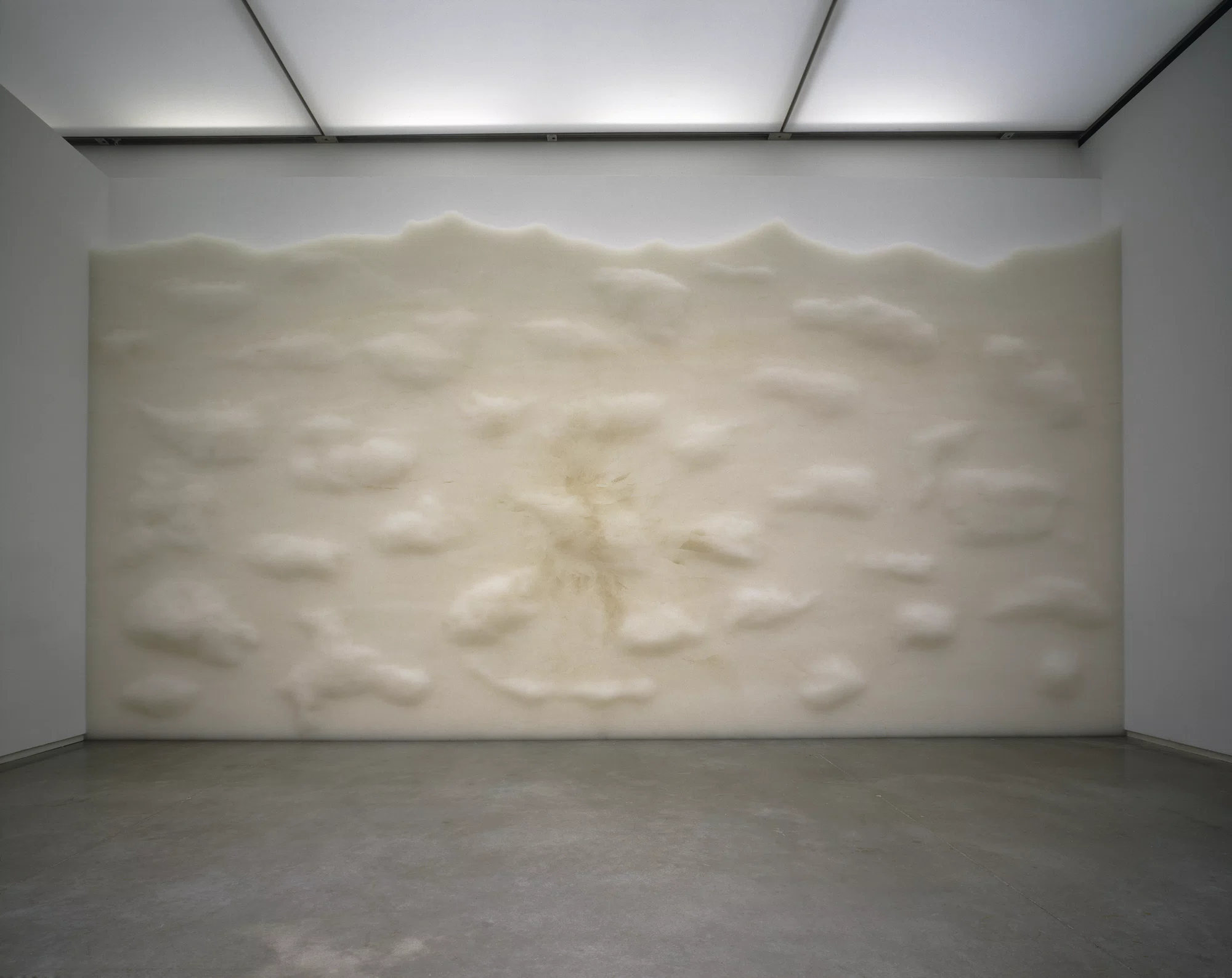 Haze by Tara Donovan