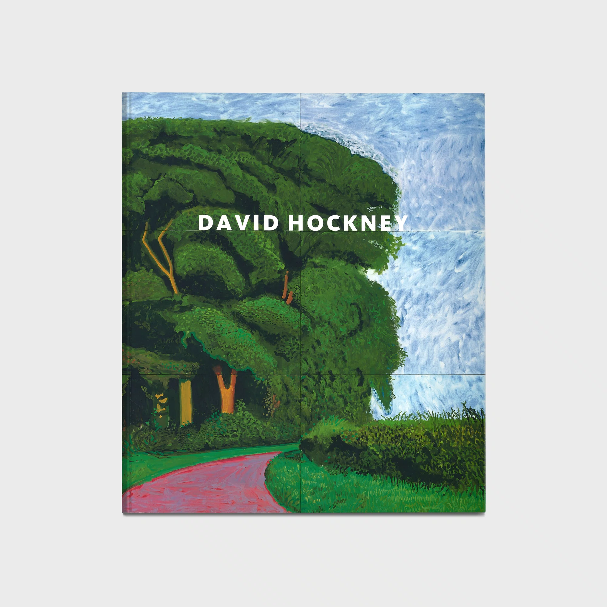 Cover of David Hockney: Recent Paintings