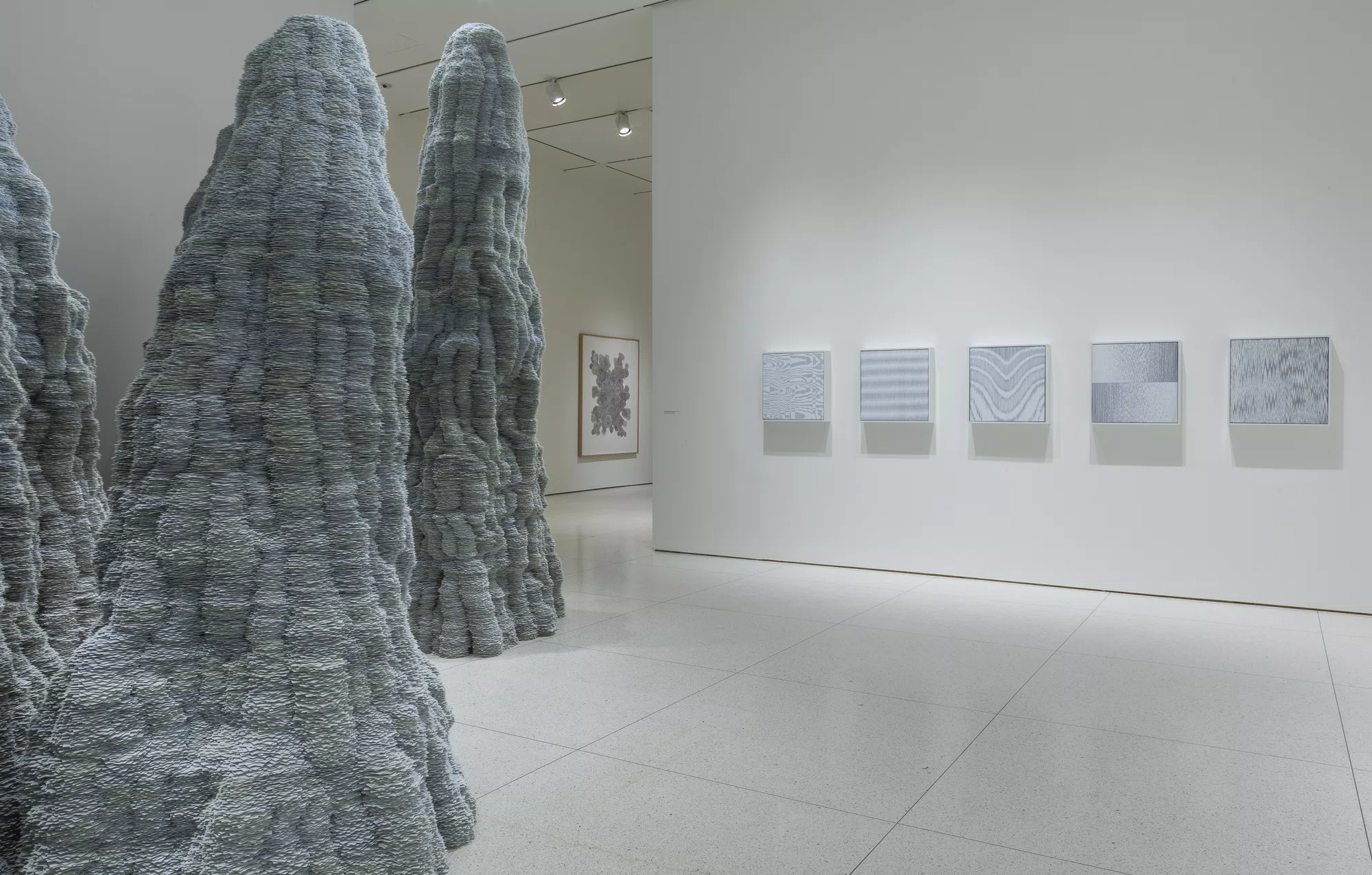 Installation view of Fieldwork by Tara Donovan at the Smart Museum of Art