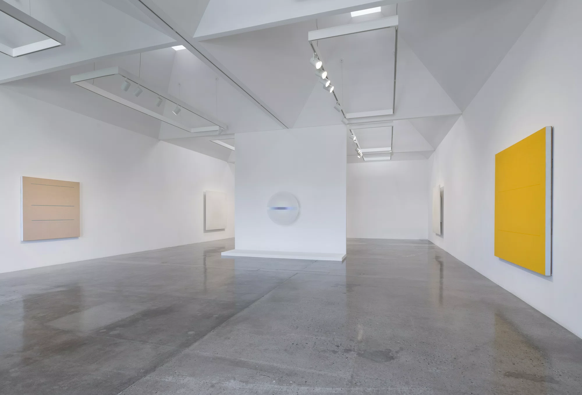 Installation view of Robert Irwin in Los Angeles