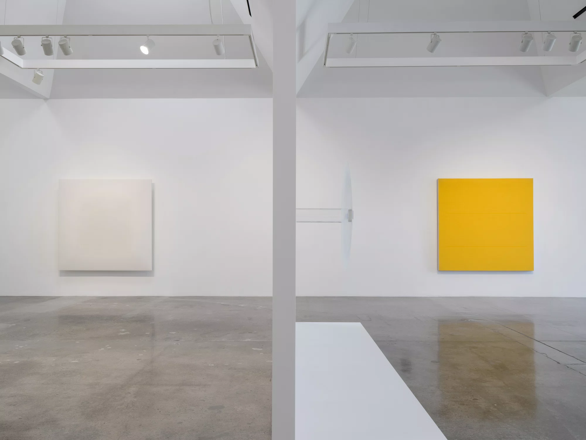 Installation view of Robert Irwin in Los Angeles