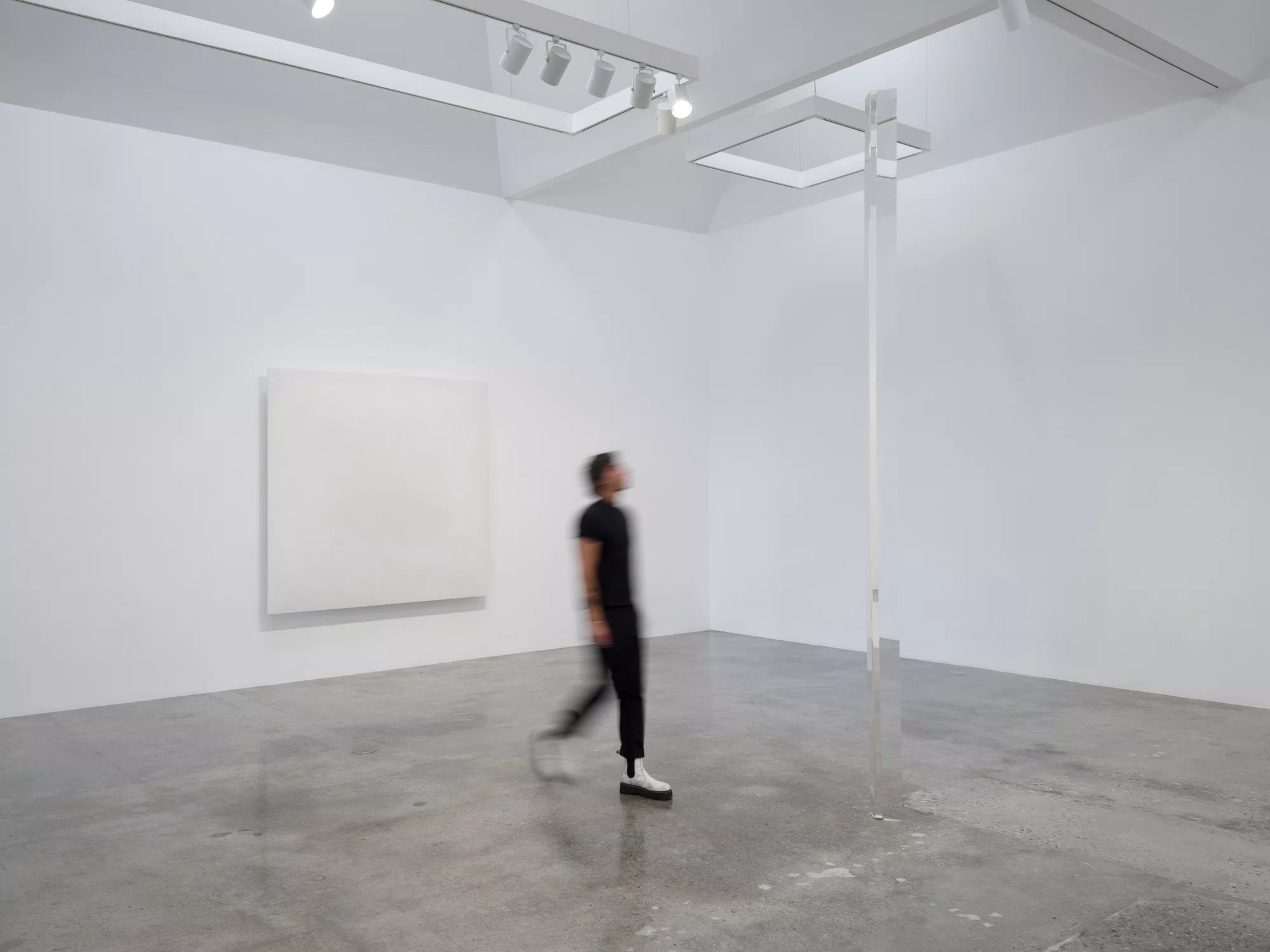 Installation view of Robert Irwin in Los Angeles
