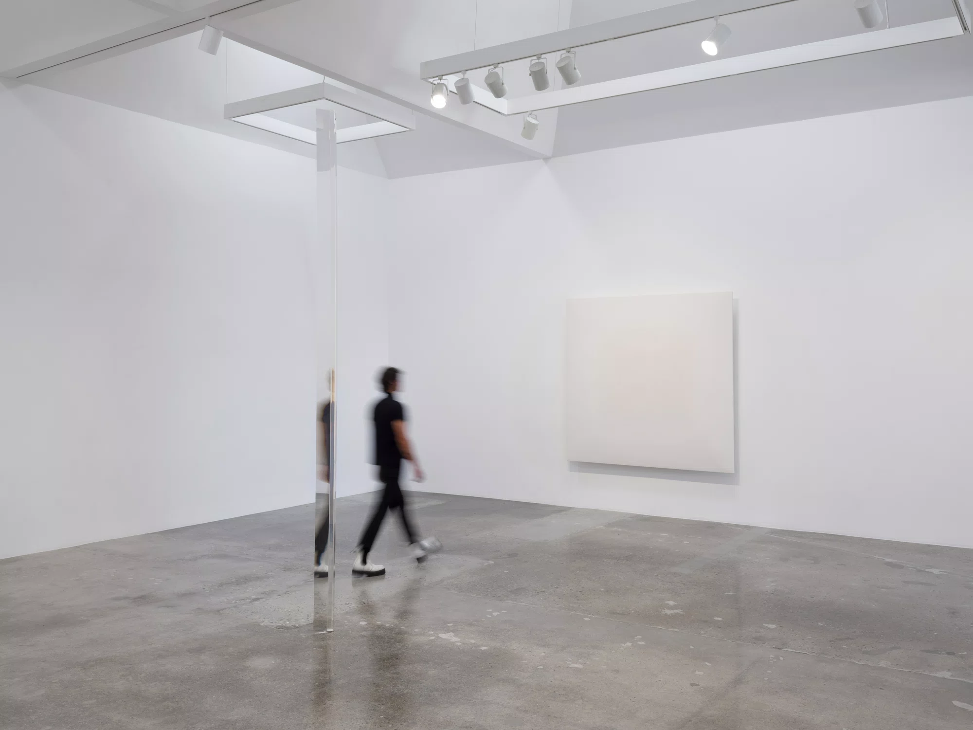 Installation view of Robert Irwin in Los Angeles