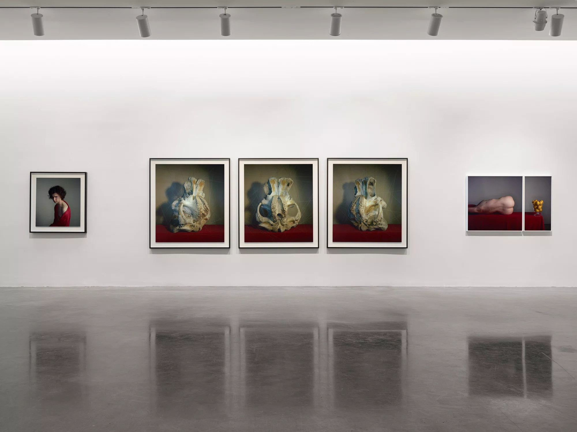 Installation view of A Loathing of Clocks and Mirrors by Richard Learoyd