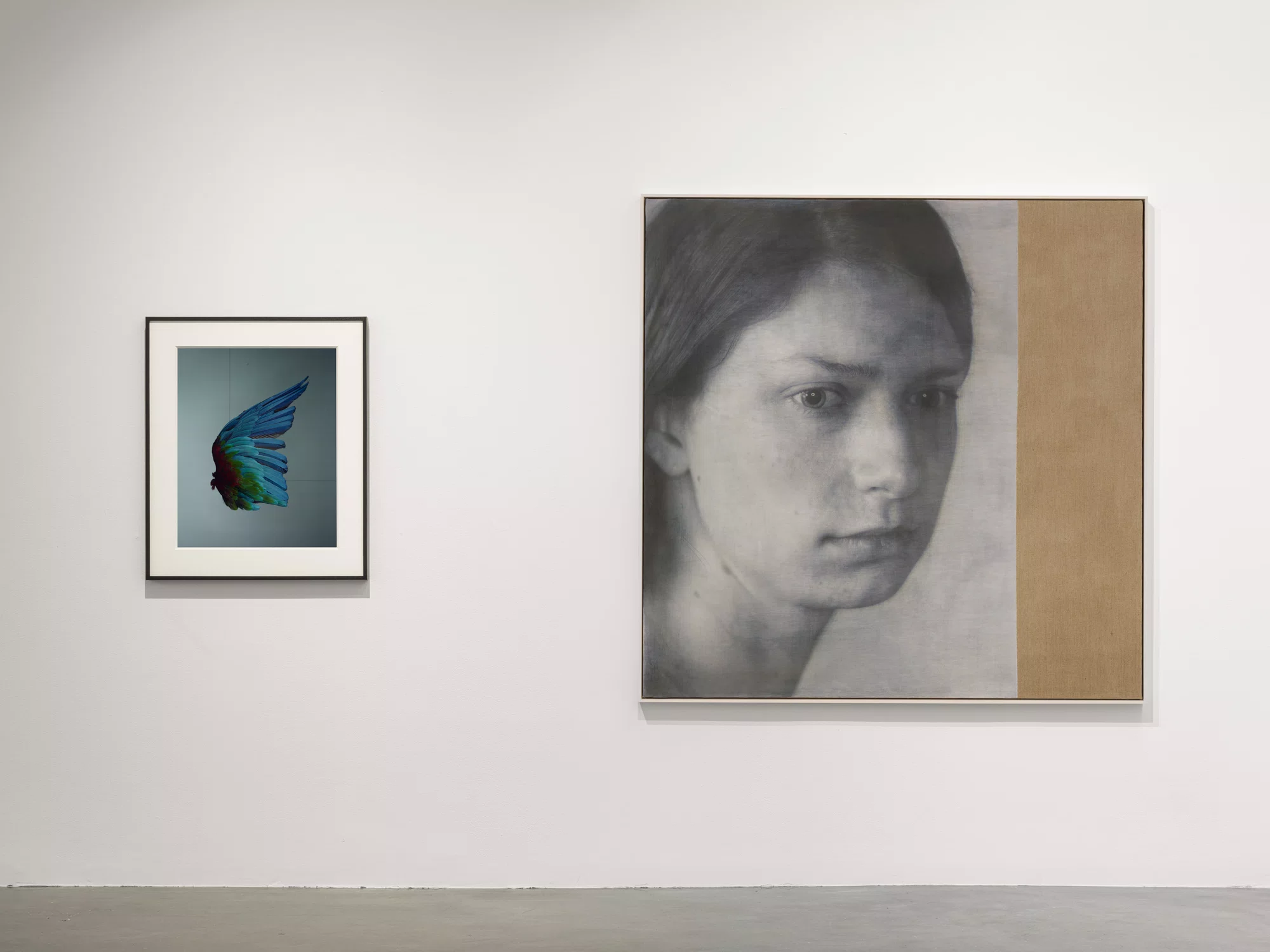 Installation view of A Loathing of Clocks and Mirrors by Richard Learoyd