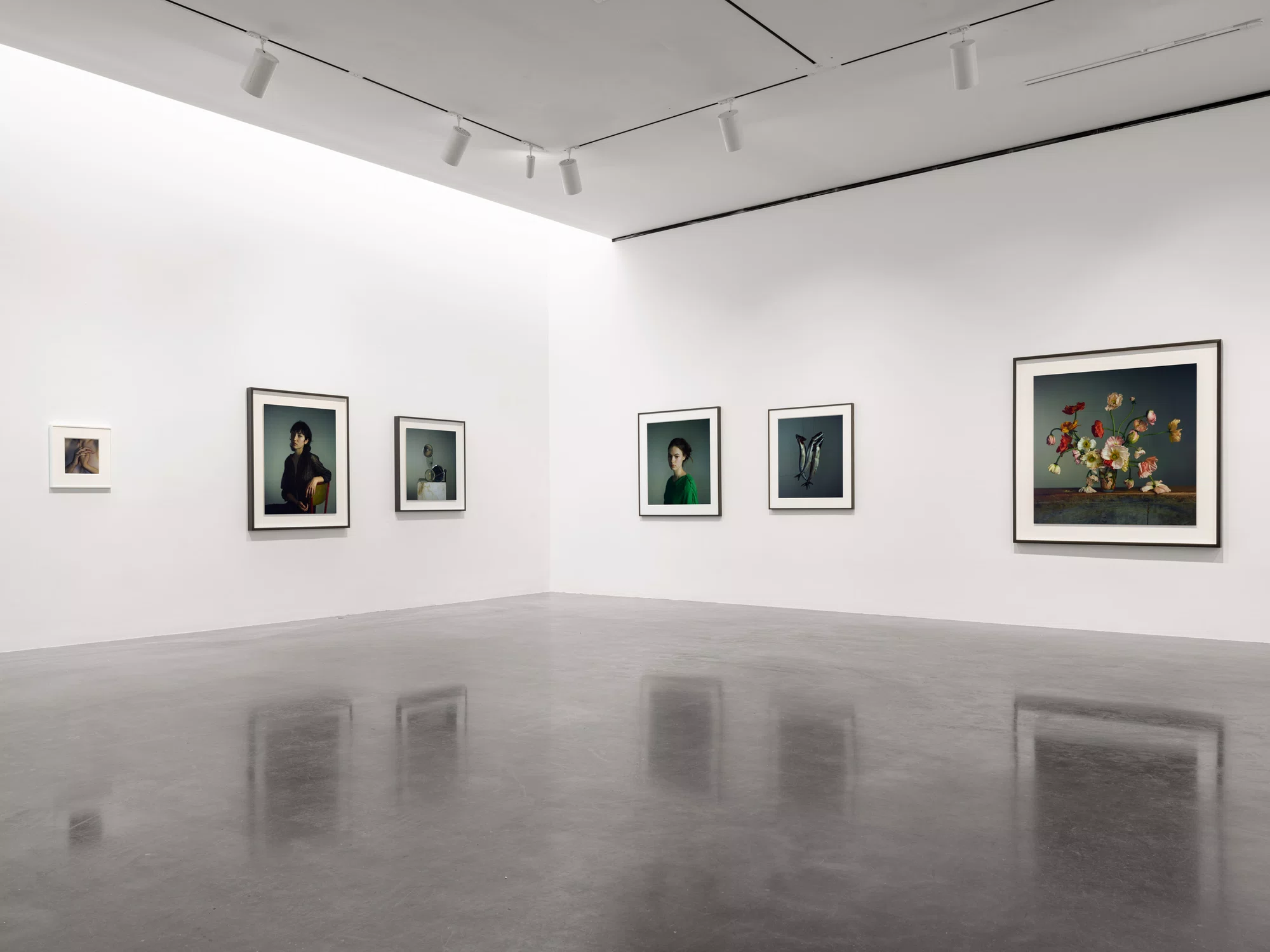 Installation view of A Loathing of Clocks and Mirrors by Richard Learoyd