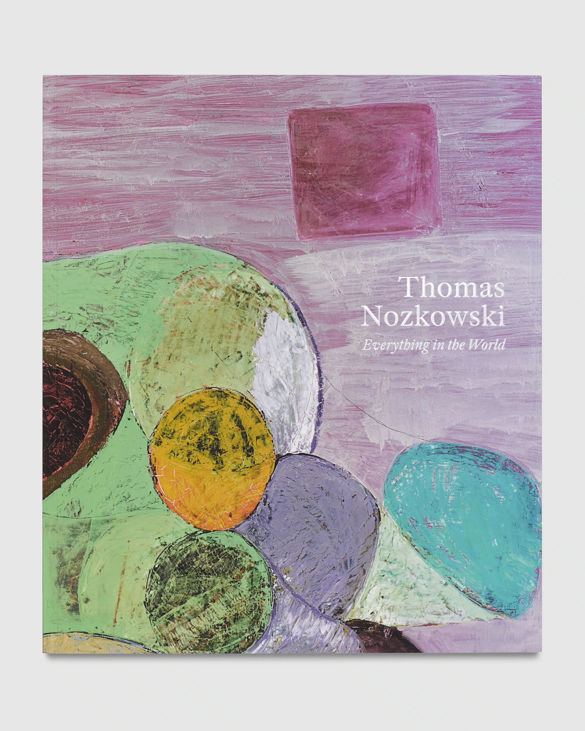 Thomas Nozkowski: Everything in the World Cover